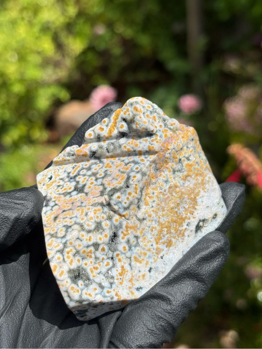 Ocean Jasper Crystal Freeform - Orbicular Jasper - Sea Jasper - Polished
